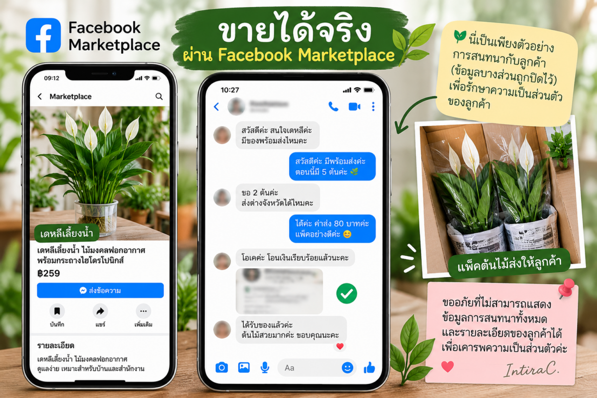 ภาพจำลองการขายต้นเดหลีผ่าน Facebook Marketplace แสดงหน้าประกาศสินค้าและการติดต่อกับลูกค้า โดยไม่เปิดเผยบทสนทนาจริง